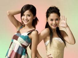 twins 资料,华语乐坛的双生花，演绎永恒的青春旋律